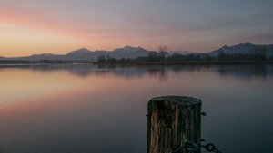 comp_DSC_0537.jpg comp_DSC_0537.jpg