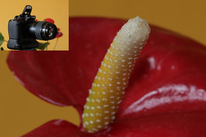 02 - interner Blitz.jpg