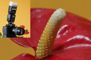 03 - externer Blitz.jpg