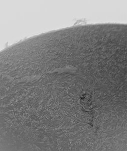 sonne29032014a-2.jpg sonne29032014a-2.jpg