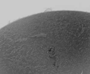 sonne29032014c-2.jpg sonne29032014c-2.jpg