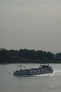 Forum DSC01948  NEX 5R + Jupiter 37A 3,5 135mm (c) PPf.jpg