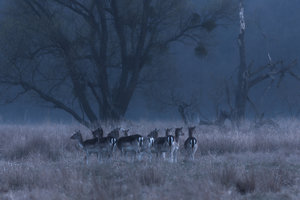 2014_03_29_SD15_Tair3s_Kuelsoer_Muehle_Sikawild_0143_VarA_1200x800pix.jpg 2014_03_29_SD15_Tair3s_Kuelsoer_Muehle_Sikawild_0143_VarA_1200x800pix.jpg