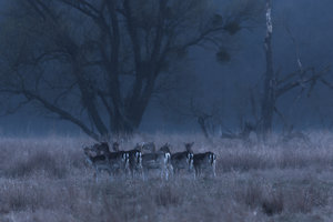 2014_03_29_SD15_Tair3s_Kuelsoer_Muehle_Sikawild_0148_VarA_1200x800pix.jpg 2014_03_29_SD15_Tair3s_Kuelsoer_Muehle_Sikawild_0148_VarA_1200x800pix.jpg