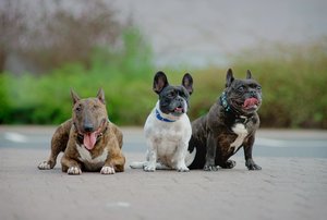 verkl.forumdie 3 von der Tankstelle.jpg