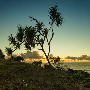 5.4.14_Fingal Head Panorama_2-Bearbeitet.jpg