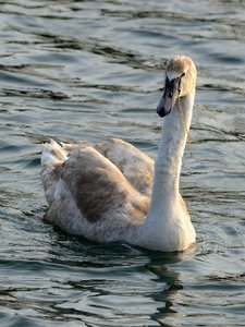 ##TMPCompress##.JPG ##TMPCompress##.JPG