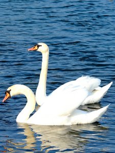 comp_DSC_2064.jpg comp_DSC_2064.jpg