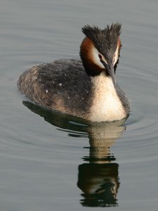 ##TMPCompress##.JPG ##TMPCompress##.JPG