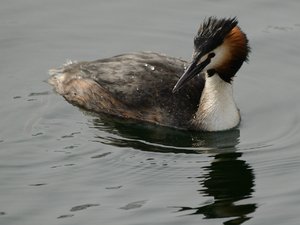 comp_DSC_2007.jpg comp_DSC_2007.jpg