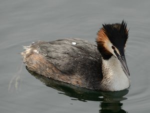 comp_DSC_2014.jpg comp_DSC_2014.jpg