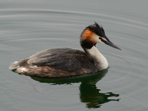 comp_DSC_2041.jpg comp_DSC_2041.jpg