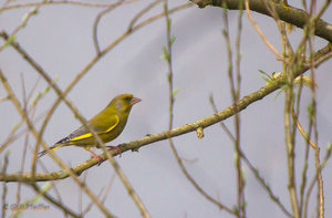 IMG_5785.jpg IMG_5785.jpg