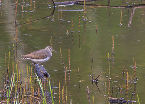 IMG_5874.jpg IMG_5874.jpg