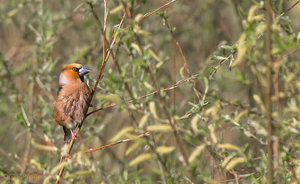 IMG_5888.jpg IMG_5888.jpg