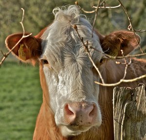 IMG_6718 - Arbeitskopie 2.jpg  2 3.jpg