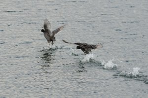 comp_DSC_2222.jpg comp_DSC_2222.jpg