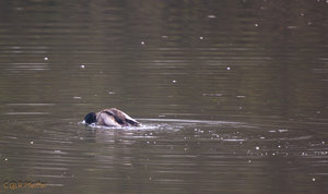 IMG_4837.jpg IMG_4837.jpg