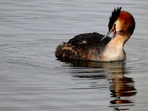 comp_DSC_9883_030.jpg comp_DSC_9883_030.jpg