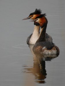 comp_DSC_9933_044.jpg comp_DSC_9933_044.jpg