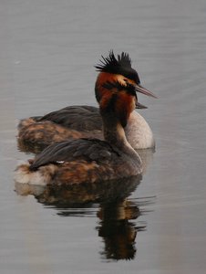 comp_DSC_9934_045.jpg comp_DSC_9934_045.jpg