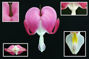 Fertig - Collage.jpg