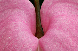 Stack 03 - fertig.jpg