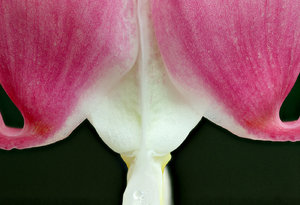 Stack 04 -fertig.jpg