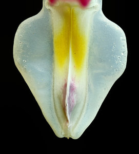 Stack 05 - fertig#.jpg