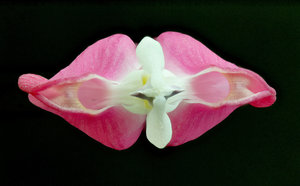 Stack 07 - fertig.jpg