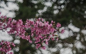 comp_20140323-P93B0643B.jpg comp_20140323-P93B0643B.jpg