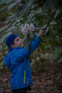 comp_20140323-P93B0707b.jpg comp_20140323-P93B0707b.jpg