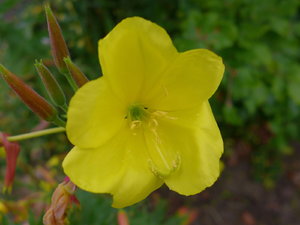 P1020009_Bildgröße ändern.JPG