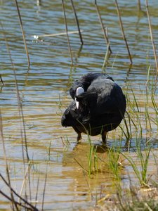 comp_DSC_2305_180.jpg comp_DSC_2305_180.jpg