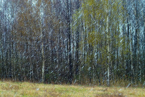 2012_04_07_SD9_Buelzig_Schneeschauer_0008_1200pix.jpg 2012_04_07_SD9_Buelzig_Schneeschauer_0008_1200pix.jpg