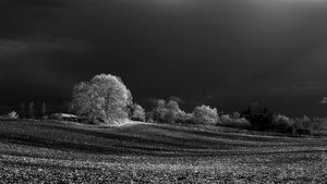 2014_04_14_SD15_Chorin_IR850nm_0004_VarA_1200x675pix.jpg