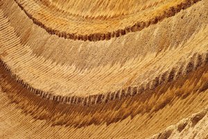 BF_DP3M0341 Kopie.jpg