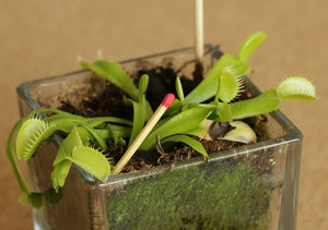 Übersicht.jpg Übersicht.jpg