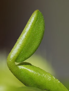 Stack 01 - fertig.jpg Stack 01 - fertig.jpg