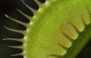 Stack 02 - fertig.jpg Stack 02 - fertig.jpg