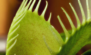 Stack 03 - fertig.jpg Stack 03 - fertig.jpg