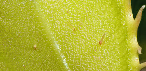 Stack 04 - fertig.jpg Stack 04 - fertig.jpg