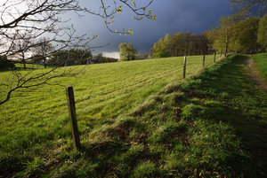 DSC08209.jpg DSC08209.jpg