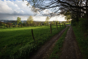 DSC08216.jpg DSC08216.jpg