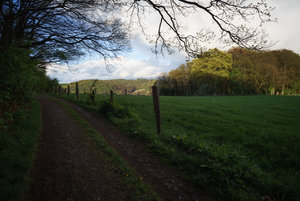 DSC08217.jpg DSC08217.jpg