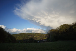 DSC08219.jpg DSC08219.jpg