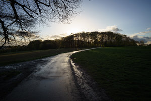 DSC08226.jpg DSC08226.jpg