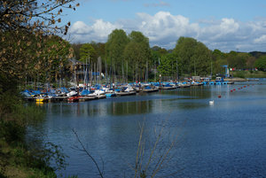 DSC08351.jpg DSC08351.jpg