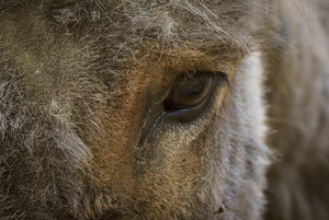 DSC08459-2.jpg DSC08459-2.jpg