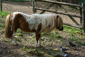 DSC08462.jpg DSC08462.jpg